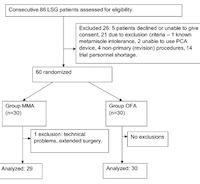 Multimodal vs. Intraoperative Opioid Free Anesthesia for Laparoscopic Sleeve Gastrectomy