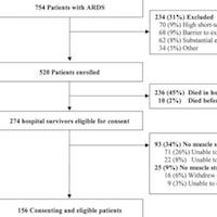 Muscle Weakness and 5-Year Survival in ARDS Survivors
