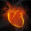 Implications of Prevalent Noncardiac Disease in the Cardiac ICU