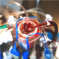 No Extra Risk For Transferring ECMO COVID-19 Patients