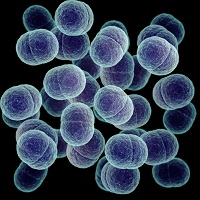 Non-antibiotic treatments for bacterial diseases in an antibiotic resistance era