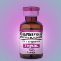 norepinephrine-in-septic-shock