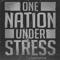 one-nation-under-stress