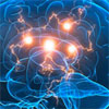 Transcranial direct current stimulation enhances cognitive training in Parkinson’s