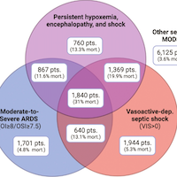 pediatric-sepsis-phenotype-with-persistent-hypoxemia-encephalopathy-and-shock
