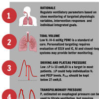 Personalized Mechanical Ventilation in ARDS