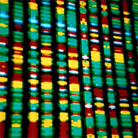 precision-medicine-genome-sequencing-and-improved-population-health