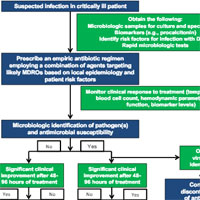 Principles of Antimicrobial Stewardship for Bacterial and Fungal Infections in ICU