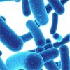 Probiotics for the Prevention of Antibiotic-associated Diarrhea in Children