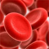 Blood products and procoagulants in traumatic bleeding