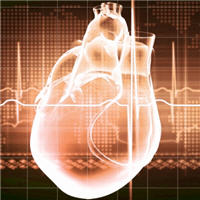 Resumption of Cardiac Activity after Withdrawal of Life-Sustaining Measures