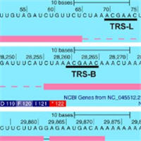 reverse-transcribed-sars-cov-2-rna-can-integrate-into-the-genome-of-cultured-human-cells