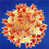 RIG-1 Agonist Shows Potent Antiviral Efficacy Against COVID-19