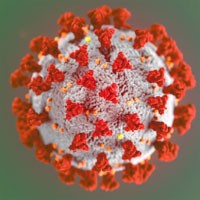 Safety and Immunogenicity Study of 2019-nCoV Vaccine
