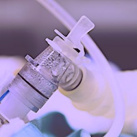Safety of Early Tracheostomy in Trauma Patients After Anterior Cervical Fusion