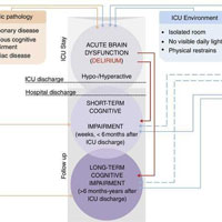 Sedation and Analgesia Impact On Long-term Cognitive Dysfunction in Critical Care Survivors