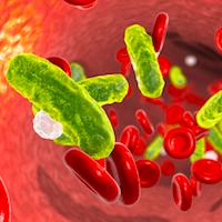 Sepsis patients treated and released from emergency departments do well with outpatient follow-up