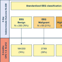 Standardized EEG Analysis to Reduce the Uncertainty of Outcome Prognostication After Cardiac Arrest