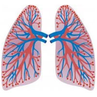 Subsegmental Pulmonary Embolism: Anticoagulation or Observation?