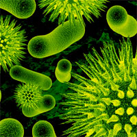Tackling Antimicrobial Resistance