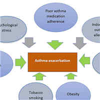the-relationship-between-vitamin-d-and-asthma-exacerbation