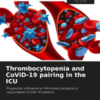 Thrombocytopenia and COVID-19 pairing in the ICU: Prognostic influence of thrombocytopenia in resuscitated CoViD-19 patients