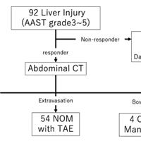 Transcatheter arterial embolization for severe blunt liver injury in hemodynamically unstable patients