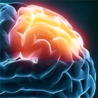 Traumatic brain injuries in older adults