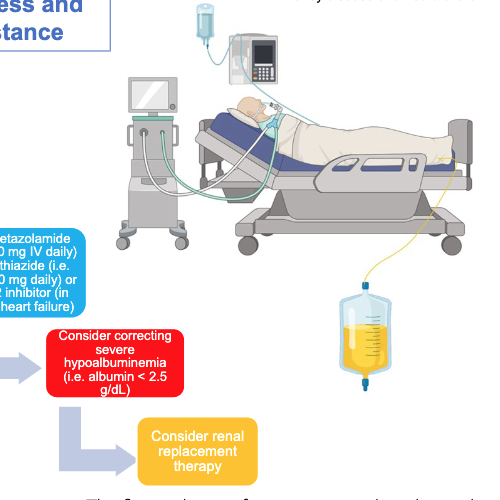 Using Diuretic Therapy in the Critically Ill Patient