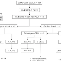 VA-ECMO in High-Risk Pulmonary Embolism